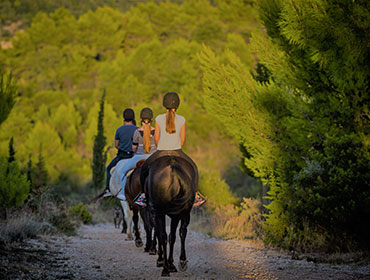 Montar a caballo